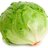 lettucemastermind