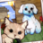 joshsong123