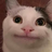 ItzAdam
