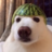 CatOMatic