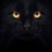 Yosheesonlykitt