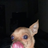 AnthonyCrank