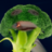 BobbyDog123