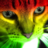 Peixe Gato