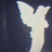 kidboysgoat