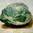 rockcabbage