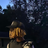 Lando