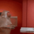 monkeyman443