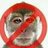 No monkeys