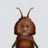 BIGSTEPPA4LREPPA