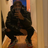 Toomuchdior