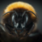 bee1