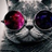 GeraldtheCat