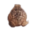 zyl