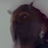 MarkTanTheGOAT