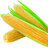 Lotsofcornx2