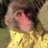 jontron24