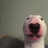 Walter6666