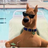 scoobyDoo