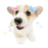 bhadbhunnt