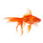 Goldfishman