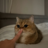 43200hz