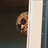 dummysad
