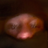 travissc0tt