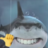 LegalYungi