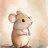 Mysterious Mouse