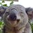 KoalaTwat