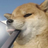 CallMeMaeby