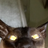 lamecobra