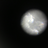 sea985