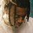 Playboi Delo