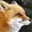 Foxflac