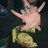 Mikeowens757