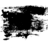 kazoq