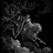 shinigami