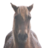 cx04