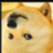 jeffdoge