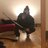 EuroNymous