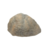 Rock2000