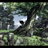 Afro Samurai