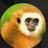 david01