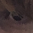 Joshflo0924