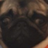 OscarAldoscar