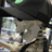 goombanutz