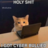 sexocat1