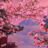 Lxab